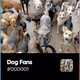 Dog Fans
