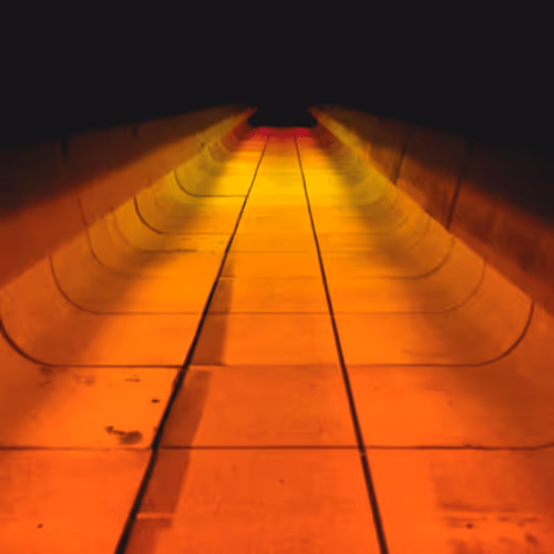 ryanfox.lens-Collect-131