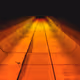 ryanfox.lens-Collect-131