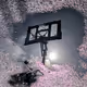 Hoop Dreams