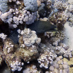 93063207811505138538959311152740631212370337484777962780752021639917050265602