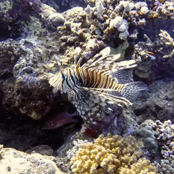 93063207811505138538959311152740631212370337484777962780752021639917050265603