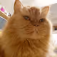 65
