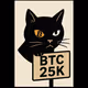 BTCAT25K — Before the Number