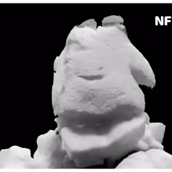 1188342555195558552062132227