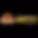1480854420646778244337500161