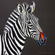 Zebra #6