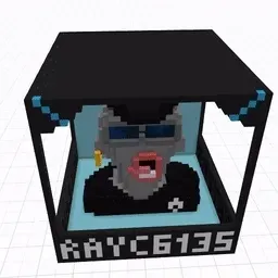 RAYC #6135 POP