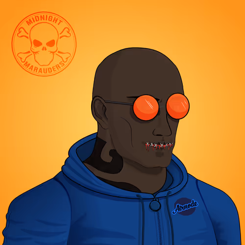 Digi Caps Raiders