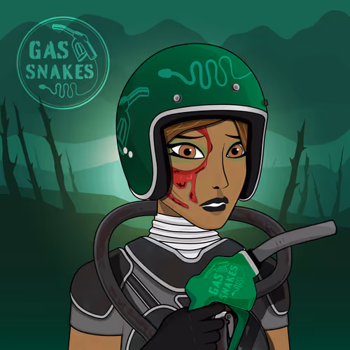 Digi Caps Raiders