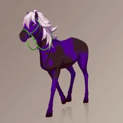 Horse : #101491