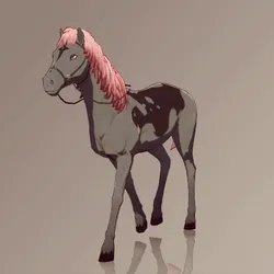 Horse : #5018