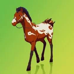 Horse : #1589