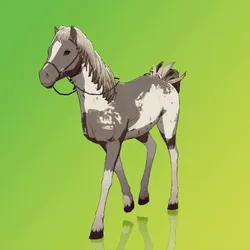 Horse : #1095