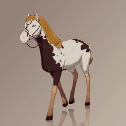 Horse : #6317