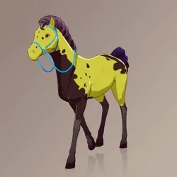 Horse : #101243