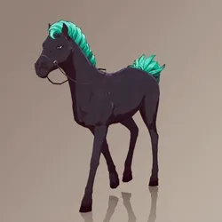 Horse : #2372