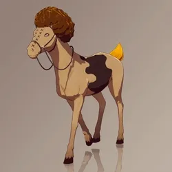 Horse : #8571