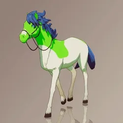Horse : #9767