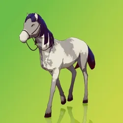 Horse : #7562