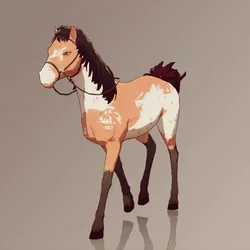 Horse : #1888