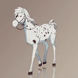Horse : #4567