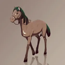 Horse : #6229