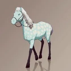 Horse : #6576