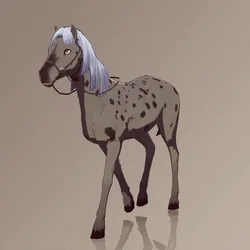 Horse : #5887