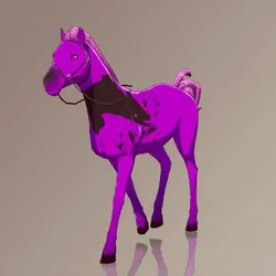 Horse : #6702