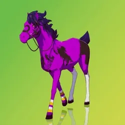 Horse : #7605