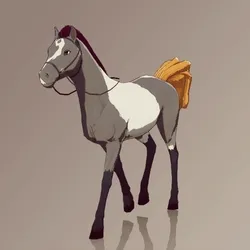 Horse : #1374