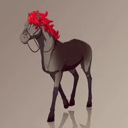 Horse : #7748
