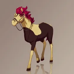 Horse : #10497