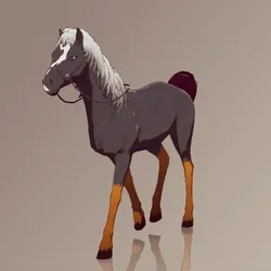 Horse : #1231