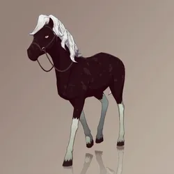 Horse : #10622