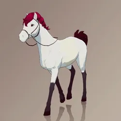 Horse : #4916