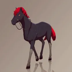 Horse : #8441