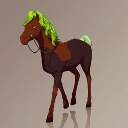 Horse : #10820