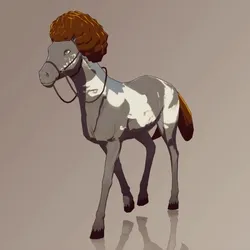 Horse : #7979