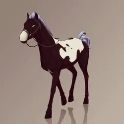 Horse : #5111