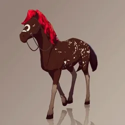 Horse : #8796