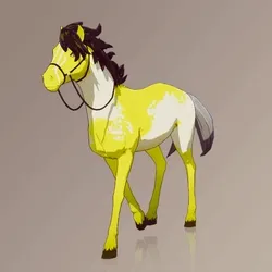 Horse : #101904