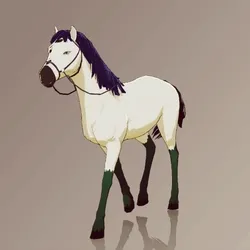 Horse : #3523