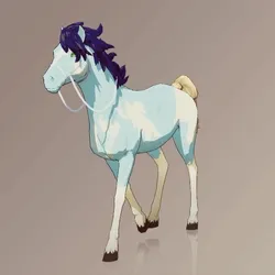 Horse : #101989