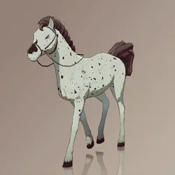 Horse : #2408