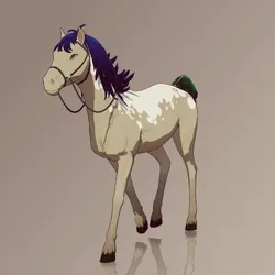 Horse : #8638