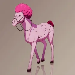 Horse : #8935