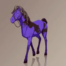 Horse : #10178