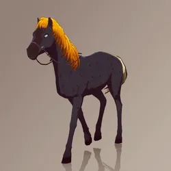 Horse : #5064